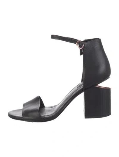 Pre-owned Alexander Wang Leather Sandals In Black