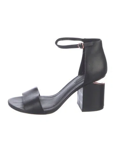Pre-owned Alexander Wang Leather Sandals In Black