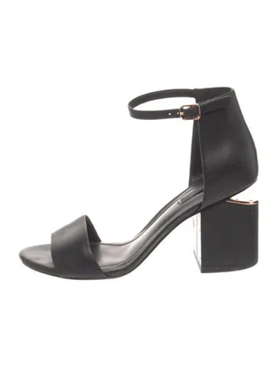 Pre-owned Alexander Wang Leather Sandals In Black
