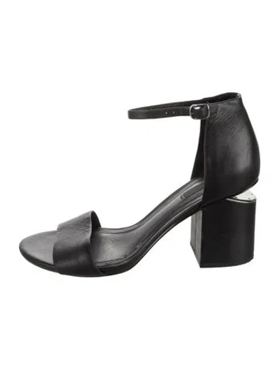 Pre-owned Alexander Wang Leather Sandals In Black