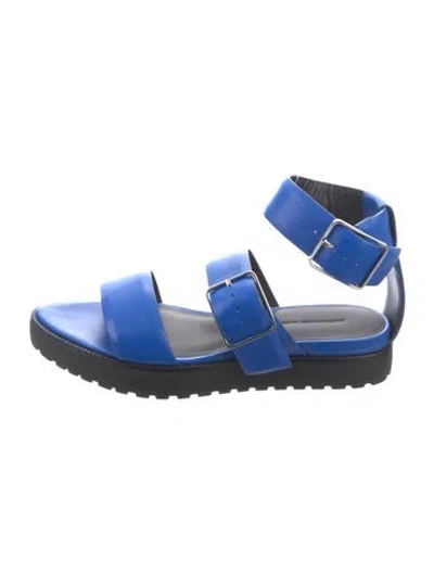 Pre-owned Alexander Wang Leather Sandals In Blue