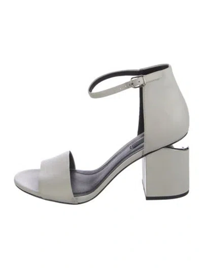 Pre-owned Alexander Wang Leather Sandals In Multi