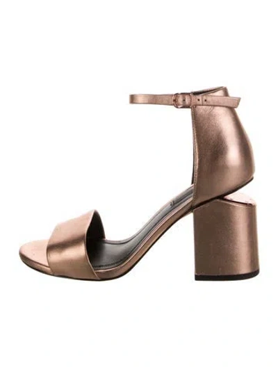 Pre-owned Alexander Wang Leather Sandals In Neutral