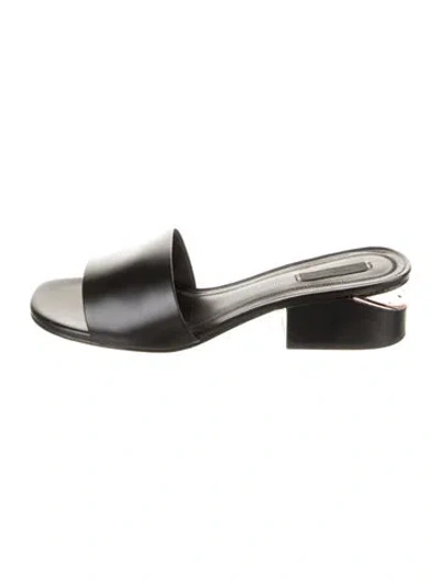 Pre-owned Alexander Wang Leather Slides In Black