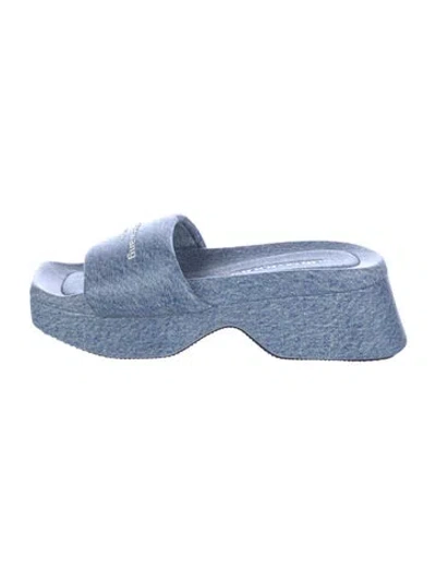 Pre-owned Alexander Wang Leather Slides In Blue