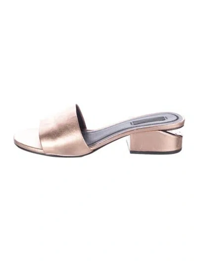 Pre-owned Alexander Wang Leather Slides In Metallic/pink