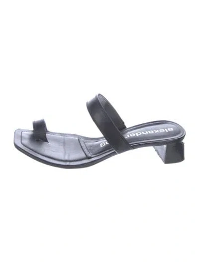 Pre-owned Alexander Wang Leather Slides In Multi