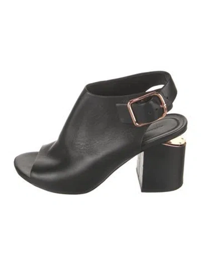 Pre-owned Alexander Wang Leather Slingback Pumps In Black