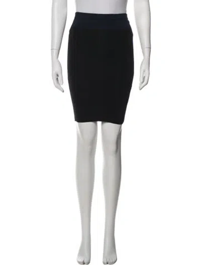 Pre-owned Alexander Wang Mini Skirt In Blue