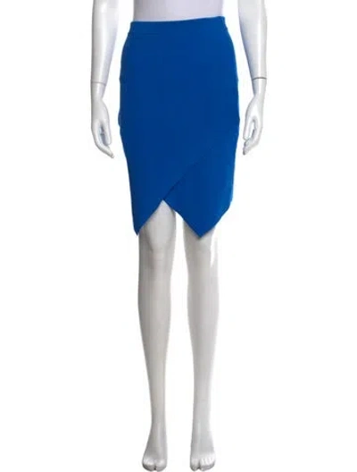 Pre-owned Alexander Wang Mini Skirt In Blue