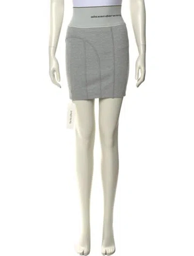 Pre-owned Alexander Wang Mini Skirt In Gray