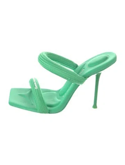 Pre-owned Alexander Wang Neoprene Sandals In Green
