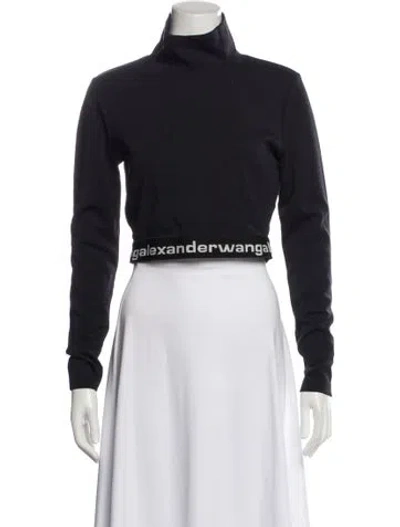 Pre-owned Alexander Wang Nylon Turtleneck Crop Top In Black