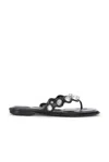 Alexander Wang Rexa Thong Flat Sandals In Black