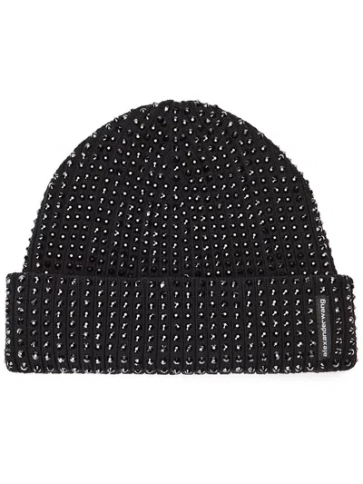 Alexander Wang Rib Beanie With Allover Hotfix Crystal Accessories