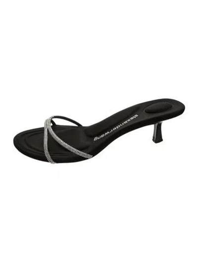 Pre-owned Alexander Wang Sandals In Black
