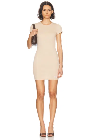 Alexander Wang Short Sleeve Crewneck Dress In Doeskin