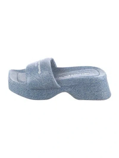 Pre-owned Alexander Wang Slides In Blue