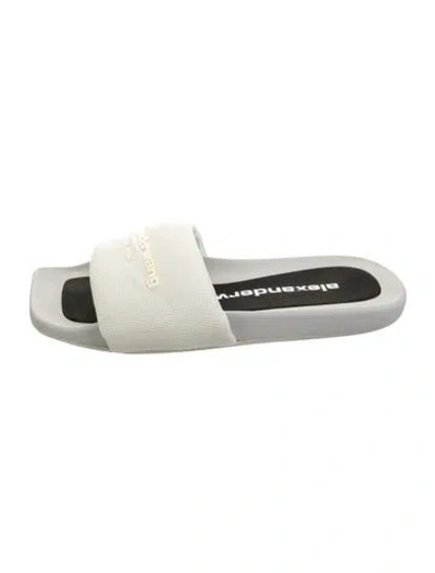 Pre-owned Alexander Wang Slides In Grey