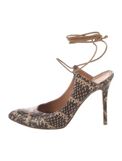 Pre-owned Alexander Wang Snakeskin Animal Print Pumps In Brown