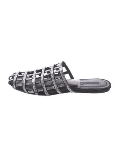 Pre-owned Alexander Wang Suede Crystal Embellishments Mules In Black