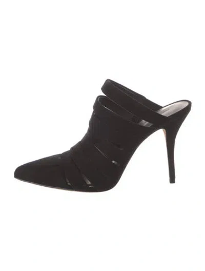 Pre-owned Alexander Wang Suede Mules In Black