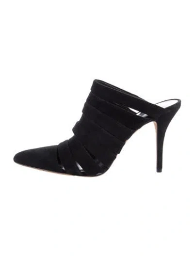 Pre-owned Alexander Wang Suede Mules In Black