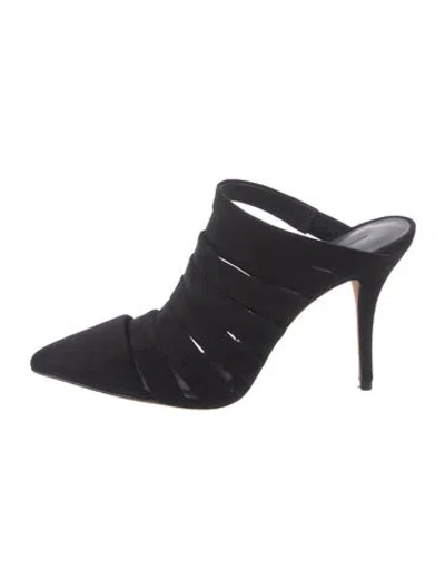 Pre-owned Alexander Wang Suede Mules W/ Tags In Black