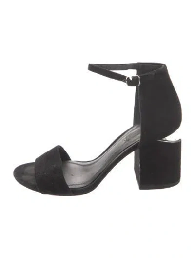 Pre-owned Alexander Wang Suede Sandals In Black