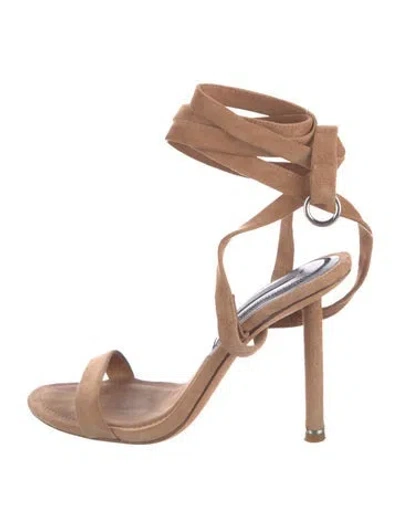 Pre-owned Alexander Wang Suede Sandals In Brown