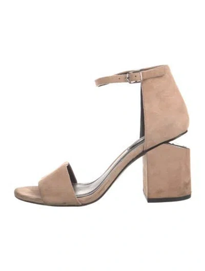 Pre-owned Alexander Wang Suede Sandals In Pink