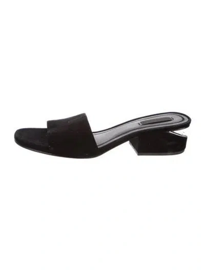 Pre-owned Alexander Wang Suede Slides In Black