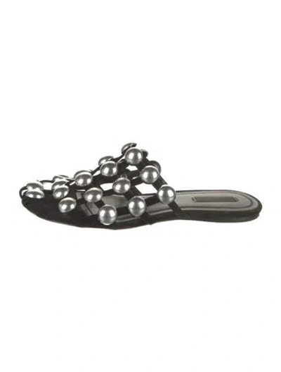 Pre-owned Alexander Wang Suede Studded Accents Mules In Black
