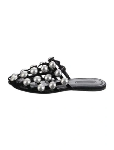 Pre-owned Alexander Wang Suede Studded Accents Mules In Black