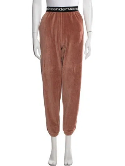 Pre-owned Alexander Wang Sweatpants In Brown