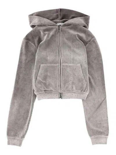 Alexander Wang Sweatshirt With Logo In Grey