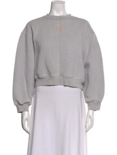 Pre-owned Alexander Wang T Crew Neck Long Sleeve Sweatshirt In Gray