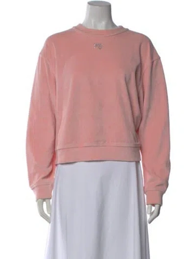 Pre-owned Alexander Wang Crew Neck Long Sleeve Sweatshirt In Pink