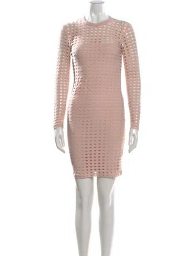 Pre-owned Alexander Wang Crew Neck Mini Dress In Pink
