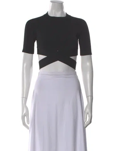 Pre-owned Alexander Wang Crew Neck Short Sleeve Crop Top In Blue