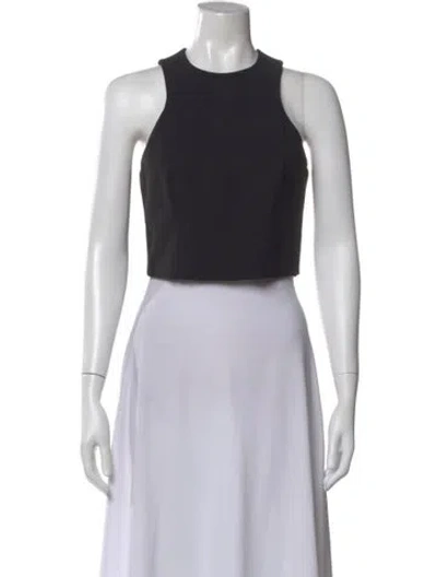 Pre-owned Alexander Wang Crew Neck Sleeveless Crop Top In Gray