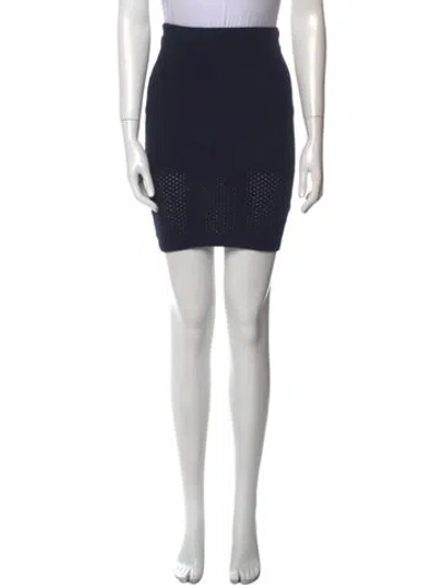 Pre-owned Alexander Wang T Mini Skirt In Blue