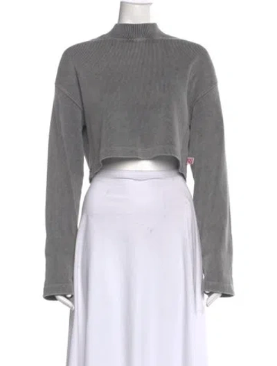 Pre-owned Alexander Wang Mock Neck Long Sleeve Crop Top In Gray