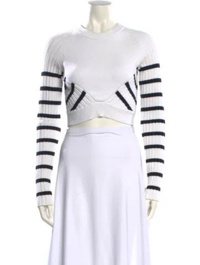 Pre-owned Alexander Wang T Striped Crew Neck Sweater In Neutral