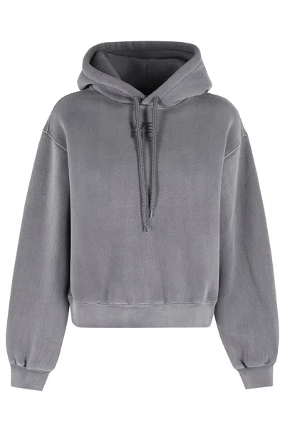 Alexander Wang T T By Erry Hoodie In Grey