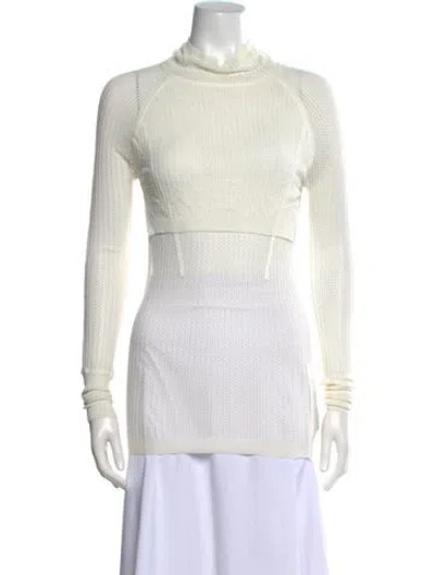 Pre-owned Alexander Wang Turtleneck Long Sleeve Sweatshirt In Neutral