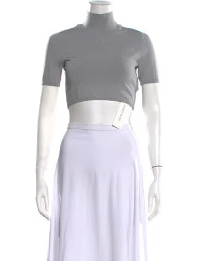 Pre-owned Alexander Wang Turtleneck Short Sleeve Crop Top In Gray