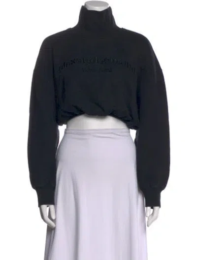 Pre-owned Alexander Wang Turtleneck Sweater In Black