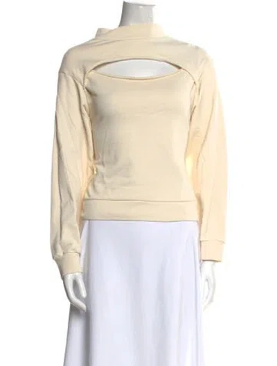 Pre-owned Alexander Wang Turtleneck Sweater In Neutral