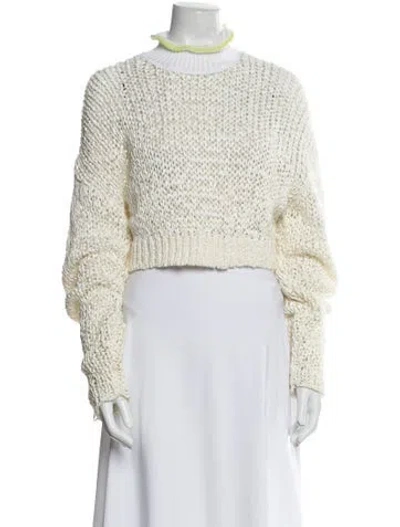 Pre-owned Alexander Wang Turtleneck Sweater In Neutral